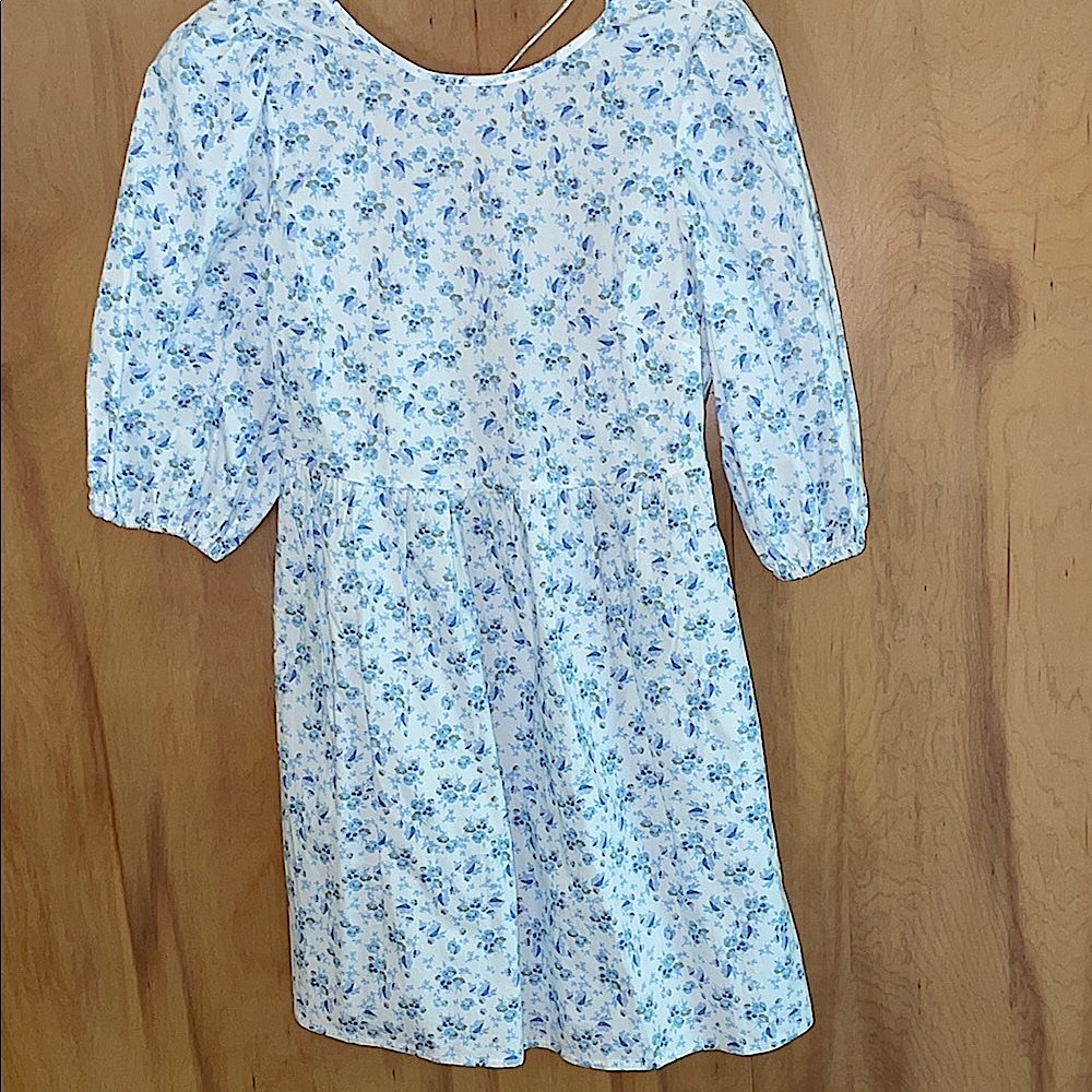 WAYF Ditsy Floral Blue and White Dress size XS
